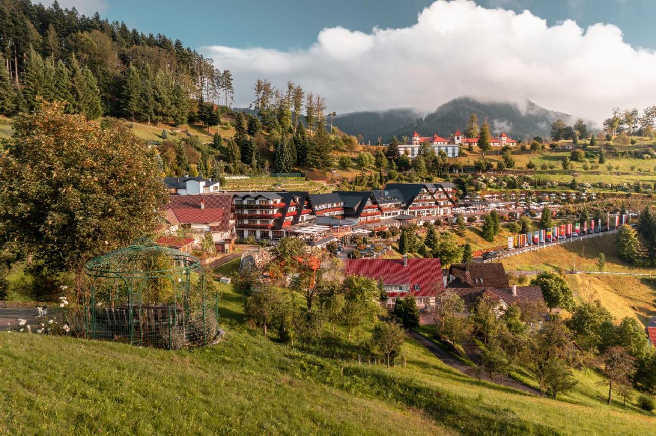 Hotel Dollenberg Бад-Петерсталь-Ґрісбах Екстер'єр фото